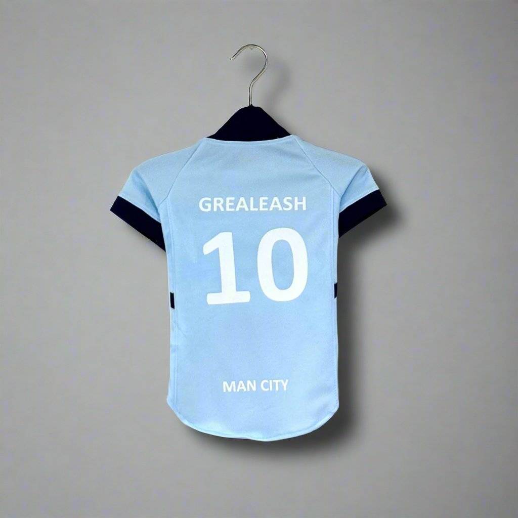 Grealeash 10 man city