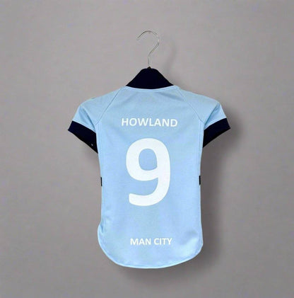 Howland 9 man city