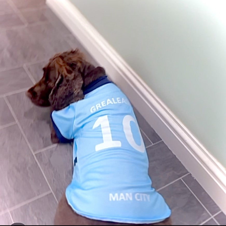 Pablo Silva Man City football shirt for dogs